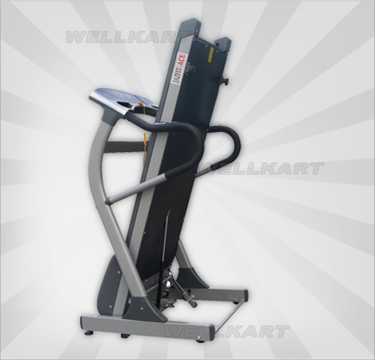 Ace treadmill online