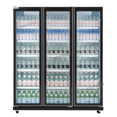 Wellquip IV36 Upright Display Fridge 1200L